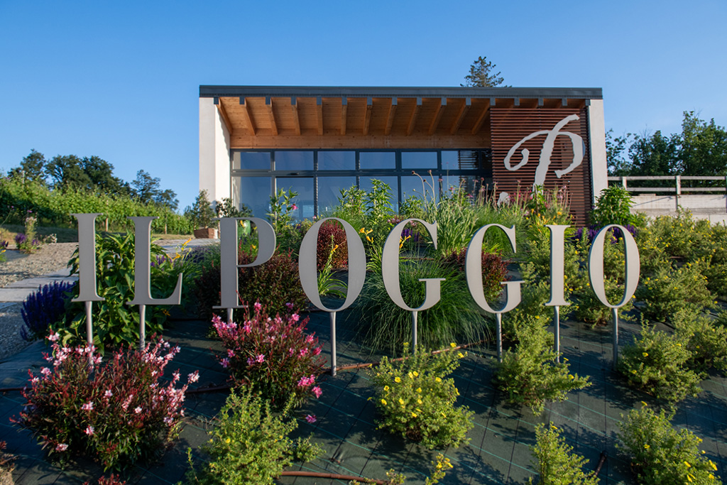 poggio gavi wine shop